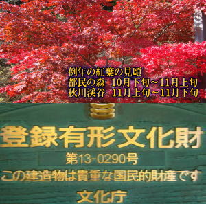 古民家の宿山城 延元元年数馬発祥の館 1日2組様限定文化財の宿